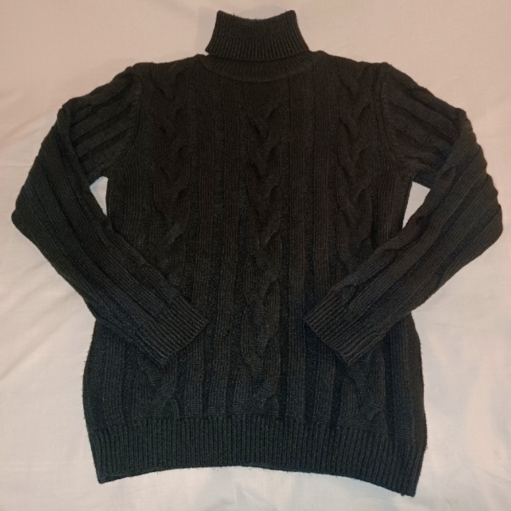 Paul Jones Turtleneck Sweater